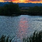 Suburban Sunset over Josh's Pond